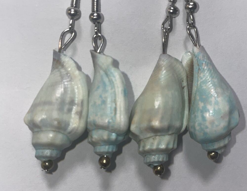 Handmade Coastal Conch Costatus Shell Teal blue gray 1 pair Dangly Earrings 2”